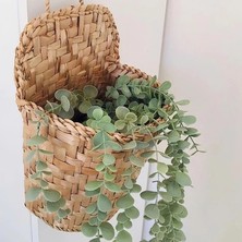 Ss Eral Koop Mien Naturel Hasır Sepet, Dekoratif Sepet, Organizer
