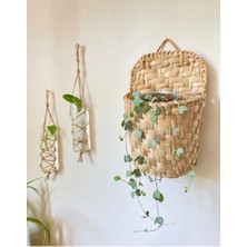 Ss Eral Koop Aura Design Duvar Kapı Süsü Gazetelik Dergilik Çiçeklik Organizer