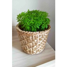 Ss Eral Koop Hasır Saksı Balkon Bahçe Dekorasyonu Modeli Çap 21 cm