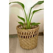 Ss Eral Koop Hasır Saksı Dekoratif Tasarım Model