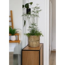 Ss Eral Koop Hasır Saksı Modeli Çap 28 cm Ev Balkon Bahçe Dekorasyonu Modeli Büyük Saksı