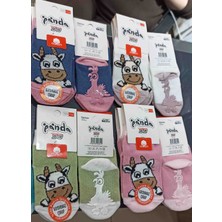 Panda Pamuk Kaydirmaz Kiz Çorap Silikonlu  6 Adet