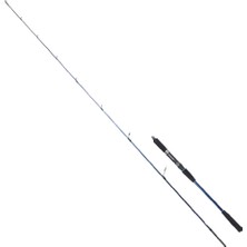 RYUJI STROBE SP 1.98M 20-80GR 2P JIG KAMIŞ