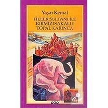 Yapı Kredi Yayınları Filler Sultanı ile Kırmızı Sakallı Topal Karınca + Güneşsiz 1 - Cehennem Diskosu + 9 Kitap
