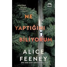 Yabancı Yayınları Ne Yaptığını Biliyorum + Bir Aile Meselesi + Masumiyet Müzesi