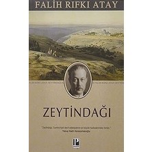 Pozitif Yayınları Zeytindağı + 1984 + Hapı Yuttuk Eczanesi + Beyaz Geceler: Hasan Ali Yücel Klasikler Dizisi