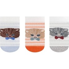 Semoor 3 Lü Kedi Desenli Erkek Bebek Patik Çorap