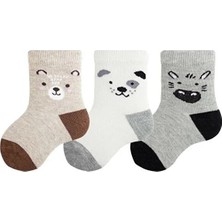 Semoor Hayvan Temalı Erkek Bebek Çorabı 3'lü Çok Renkli