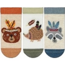 Semoor 3 Lü Tilki Desenli Erkek Bebek Patik Çorap