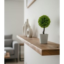 Yapay Çiçek Saksılı Mini Top Ağacı Canlı Şık Görünüm 1 Adet