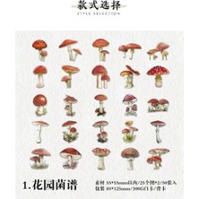 İTHAL P16-50 Adet Cicek Pet Sticket - Numara : 5