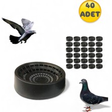 An-ga Folluk Güvercin Folluğu Delikli Oval 40 Adet Plastik Yumurtalık