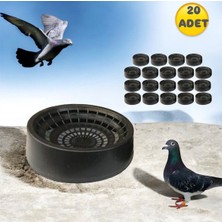 An-ga Folluk Güvercin Delikli Oval 20 Adet Plastik Yumurtalık