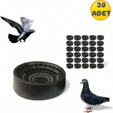 An-ga Folluk Güvercin Folluğu Delikli Oval 30 Adet Plastik Yumurtalık