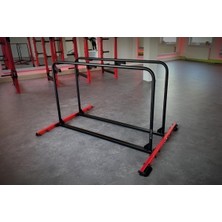 Rane Calisthenics Dips