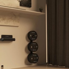 Rane Mat Rafı ve Ağırlık Duvara Monte Ağırlık Plakası Standı