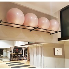 Rane Pilates Topu Rafı