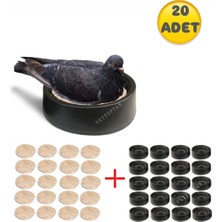 An-ga Folluk 20 Adet 20 Adet Keçe, Güvercin Delikli Oval Folluğu ve Keçesi Yumurtalık