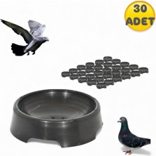 An-ga Folluk Güvercin Folluğu Oval 30 Adet Yuvalık Plastik Yumurtalık