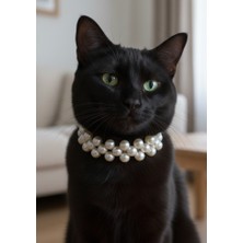 Balkonda Kedi Kolyesi Tasma Ayarlanabilir Boncuk Beyaz Inci Sedefli Sesli Zilli