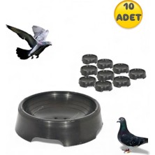 An-ga 10 Adet Plastik Oval Yuvarlak Folluk, Güvercin Folluğu Oval Yuvalık Plastik Yumurtalık