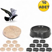 An-ga Folluk 10 Adet 10 Adet Keçe, Güvercin Oval Folluğu ve Keçesi