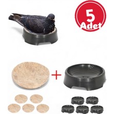 An-ga Folluk 5 Adet 5 Adet Keçe Güvercin Oval Folluğu ve Keçesi Yumurtalık