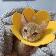 Fta Ticaret Evcil Hayvan Xl Boy Keçe Elizabeth Yakalığı