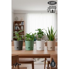 ToXA 4 Adet 1,8 Litre Begonya Saksı Seti 15cm Mat Plastik Drenajlı Tabaklı Çiçek Saksısı Set