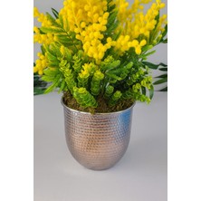 Furya Çiçekçilik Mimoza Esintisi Dekoratif Arajman