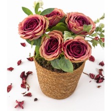 Furya Çiçekçilik Sunset Rose Mini Arajman