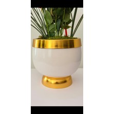 Furya Çiçekçilik Royal Gold Kırmızı Gül Aranjmanı – Premium Koleksiyon