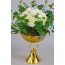 Furya Çiçekçilik Krem Kasımpatı– Altın Kupa Saksı Arajmanı