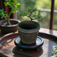 BitkiTÜRK Ağaç Kabartmalı Büyük Beton Saksı 17CM×22CM