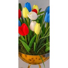 Furya Çiçekçilik Renkli Lale Bahçesi – Altın Kupa Saksı Arajmanı
