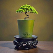 BitkiTÜRK Toprak Saksı 13CM×13CM Orkide&bonsai&çiçek&kaktüs&sukulent
