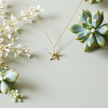 Nova Grup Deniz Yıldızı Kolye Uçlu 14 Ayar Altın Kolye