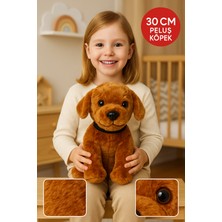 Toyfest 30 cm Peluş Köpek Oyuncak – Yumuşacık Tüylü, Büyük Gözlü, Çocuk Odası Dekor & Hediye”