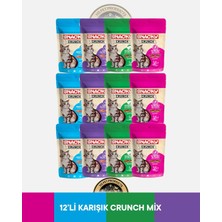 Snacky Crunch Yaşlanma Karşıtı,deri ve Tüy Bakımı,güçlü Kemikler,tüy Yumağı Kontrolü Kedi Ödül Maması Seti 12X60 Gram