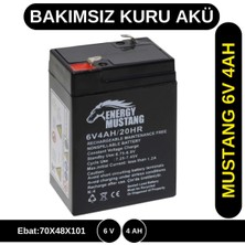 Özbience 6V 4AH Bakımsız Kuru Akü, Güçlü ve Güvenilir Performans