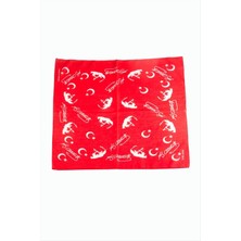 SiHako Ayyıldız Desenli Bandana 50*50