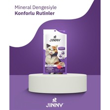 2(Adet)Jinny Yaş Mama 1(Adet)Jinny Krema 15GX5