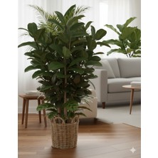 Raddancore Premium 30CM Papatya Renk Saksı Kılıfı