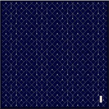 Pierre Cardin  Sura Ipek Eşarp 9097-323