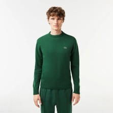 Lacoste Bisiklet Yaka Regular Fit Erkek Triko