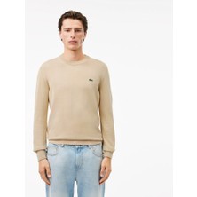 Lacoste Bisiklet Yaka Regular Fit Erkek Triko
