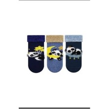 Panda Desenli Erkek Bebek Patik Çorap 3'lü Çok Renkli