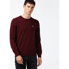 Lacoste Bisiklet Yaka Regular Fit Erkek Triko