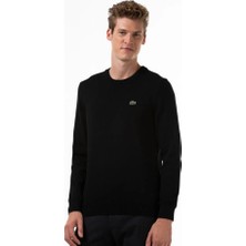 Lacoste Bisiklet Yaka Regular Fit Erkek Triko
