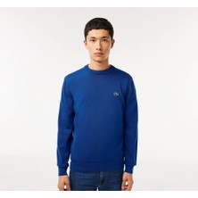 Lacoste Bisiklet Yaka Regular Fit Erkek Triko
